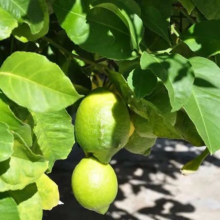 Del Mar 37 Σπίτι διακοπών Colonia de Sant Pere